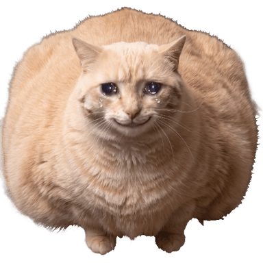 CAT token