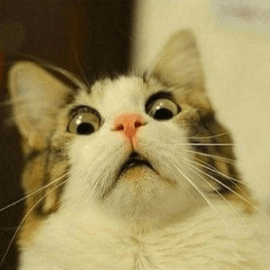 Surprised token