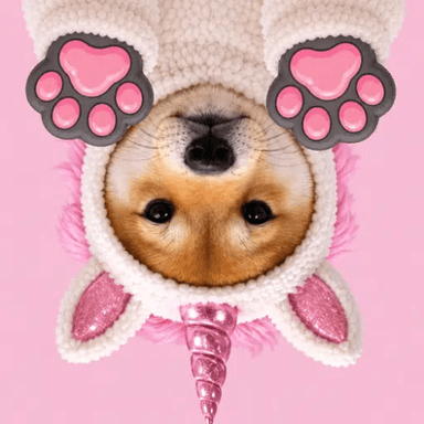 PAWSINU token