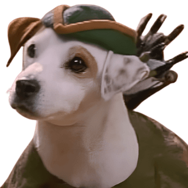 WISHBONE token